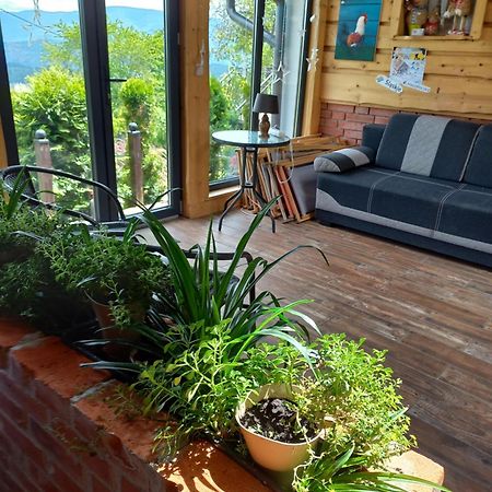 Apartament Simonka Z Jacuzzi 扎沃亚 外观 照片